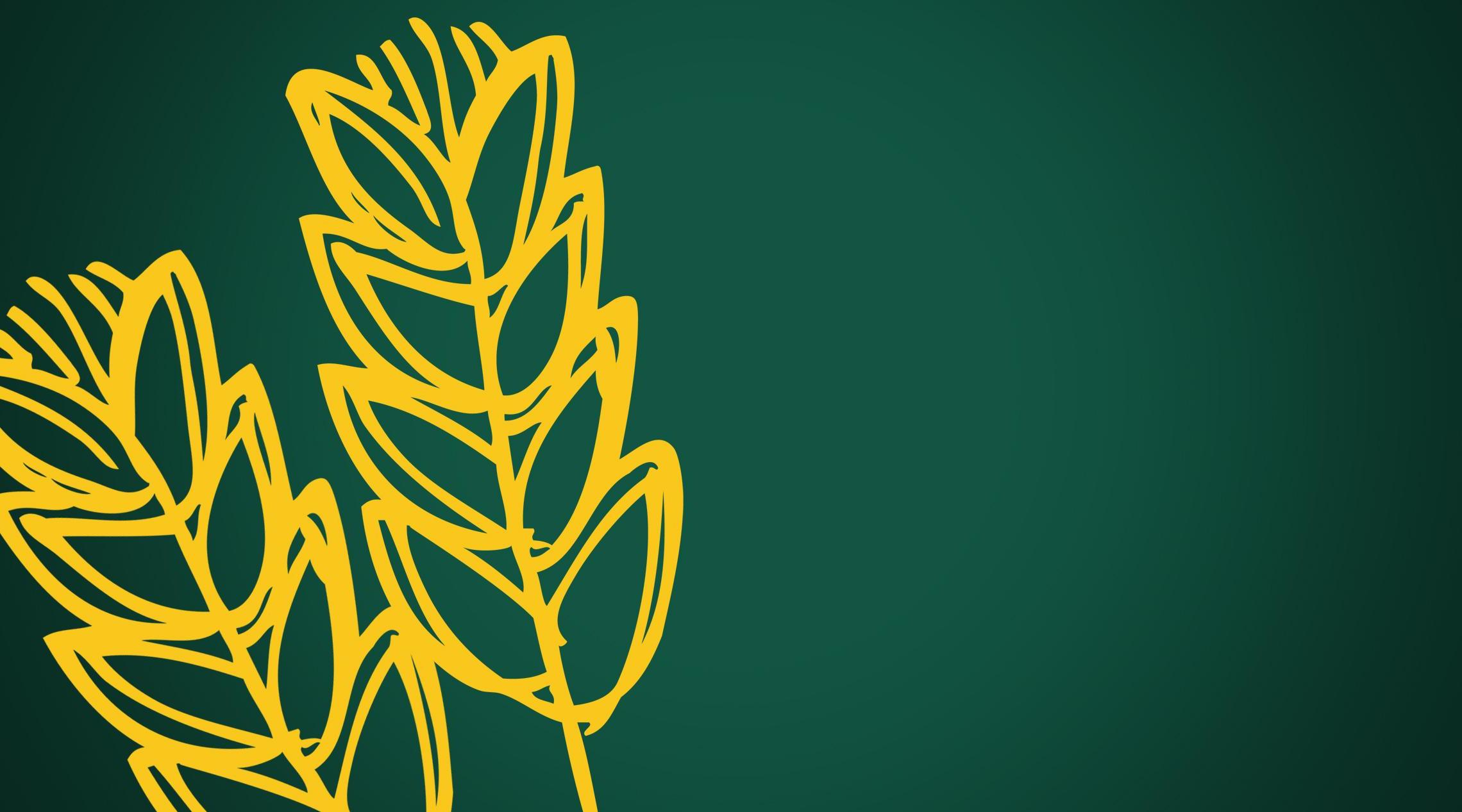 2 gold wheat on green background